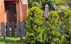 Park Apartment
